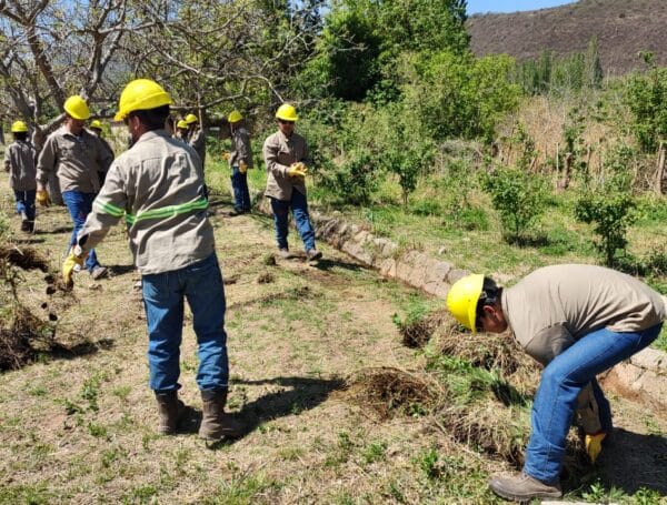 127 nuevos puestos de trabajo para vecinos de Choya y Potrero